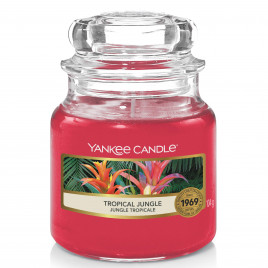 Yankee Candle 扬基 香氛蜡烛热带丛林 104g